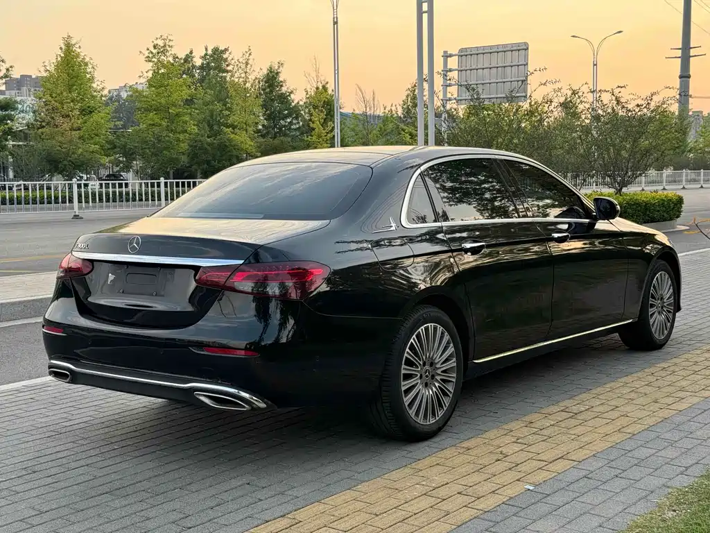Mercedes-Benz E-Class 2023 E 300 L luxury