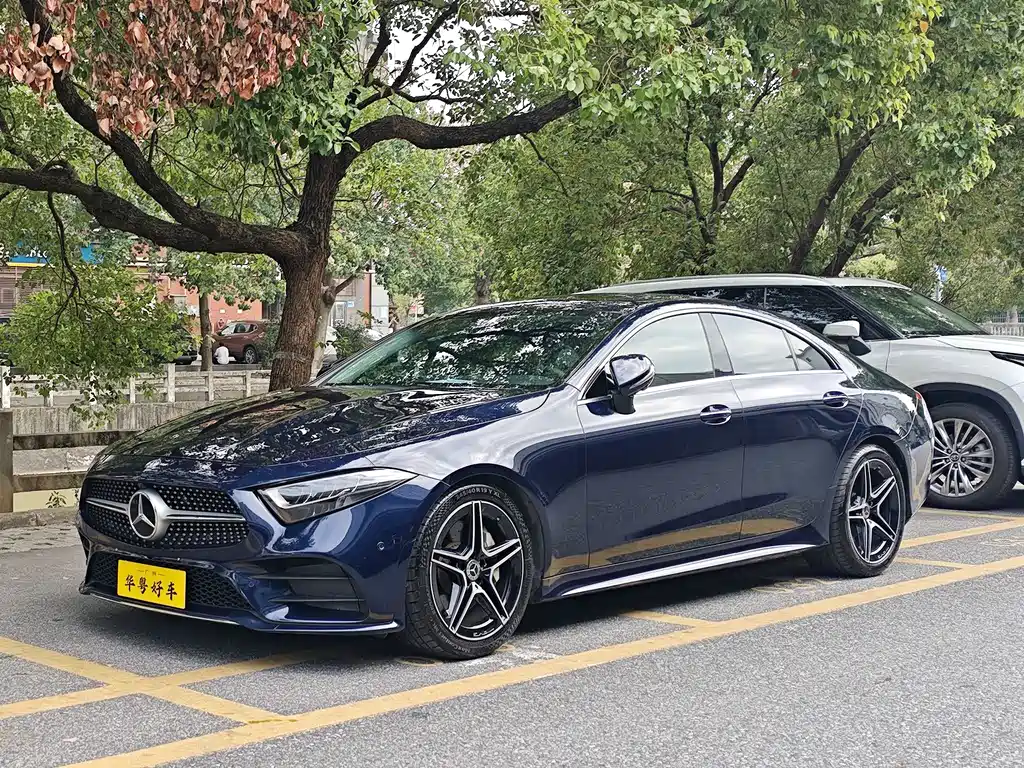 Mercedes-Benz CLS 2021 CLS 300 Luxury