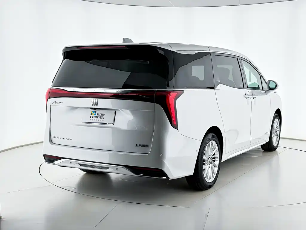 Century 2025 2.0T Seven-seater Yunshi Edition