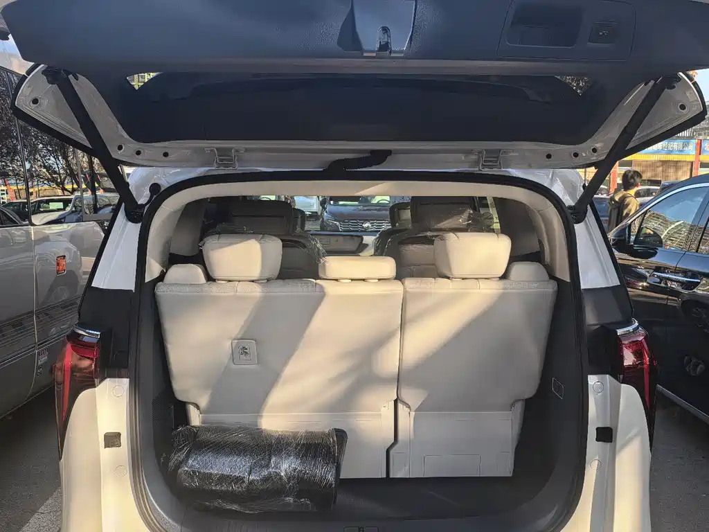 Century 2025 2.0T Seven-seater Yunshi Edition