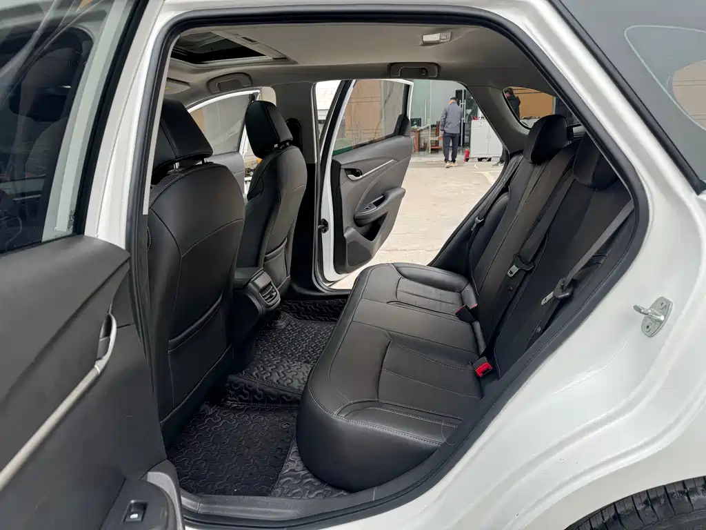 Yuelang 2019 18T automatic Interconnection Elite Country V