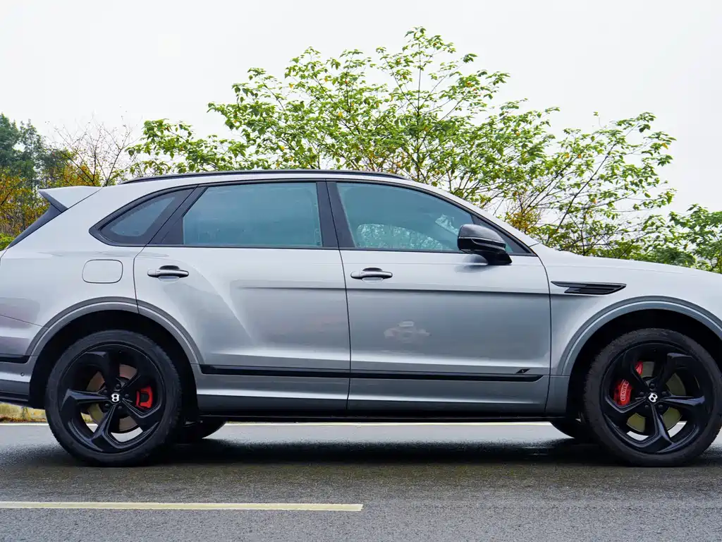 Tim Yue 2022 model 4.0 T V8 S