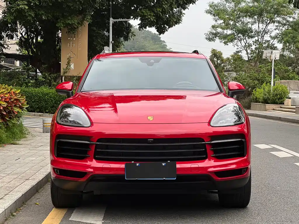 Cayenne 2022 Cayenne 3.0T Platinum Edition