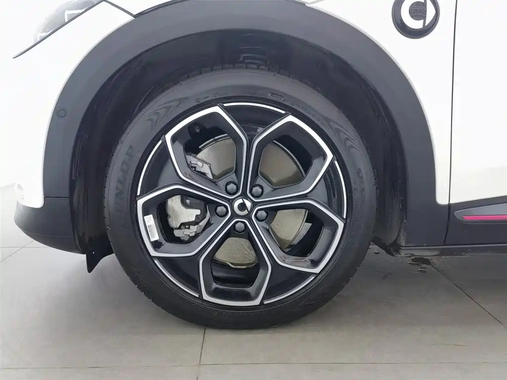 Smart Genie#3 2023 Pulse four-wheel drive version