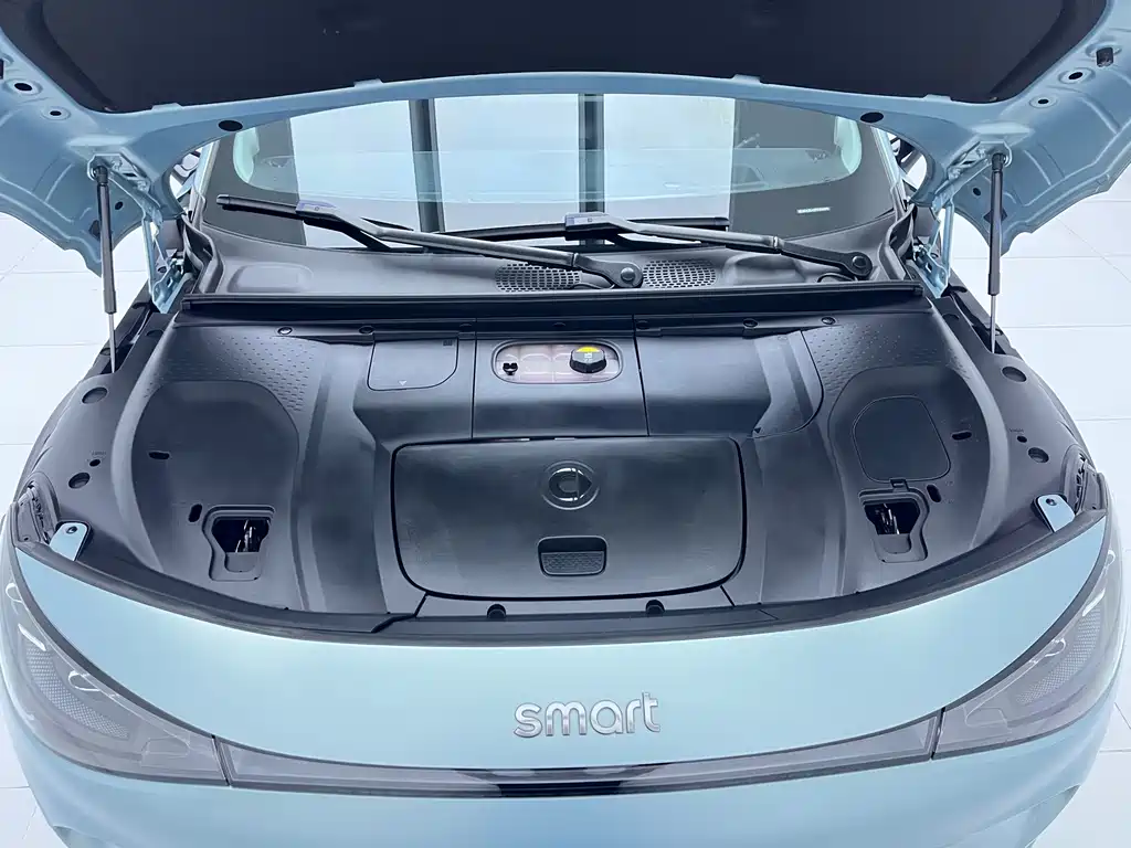 Smart Genie#3 2023 Pulse four-wheel drive version