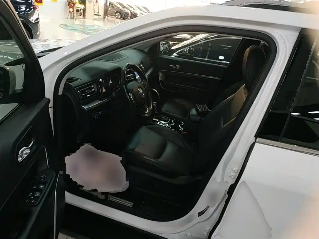 Grand Commander 2020 2.0T Four-wheel drive Elite Edition