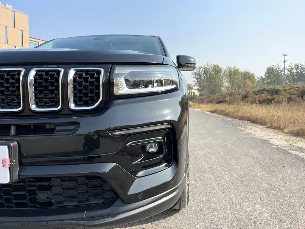 Grand Commander 2022 2.0T Two-wheel drive Elite Edition