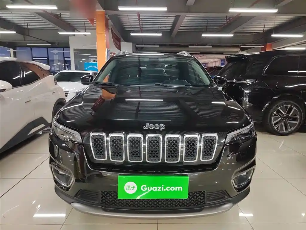 Free Light 2020 2.0T two-wheel drive leading version