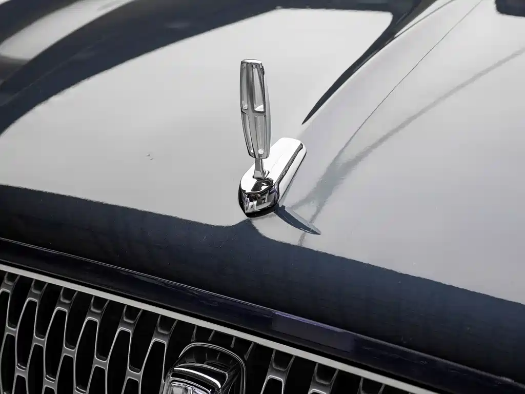 Flying Home 2020 3.0T V6 four-wheel drive Executive Edition