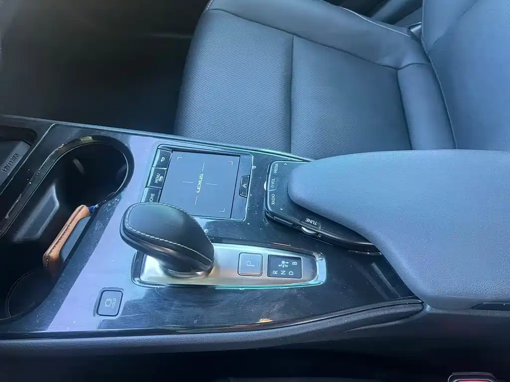 Lexus UX New Energy 2020 Model 300e Pure*Yue Edition