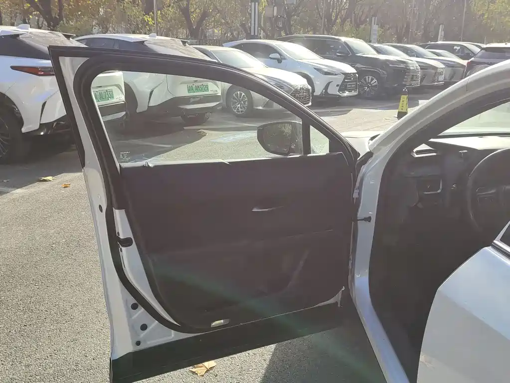 Lexus UX New Energy 2020 Model 300e Pure*Yue Edition