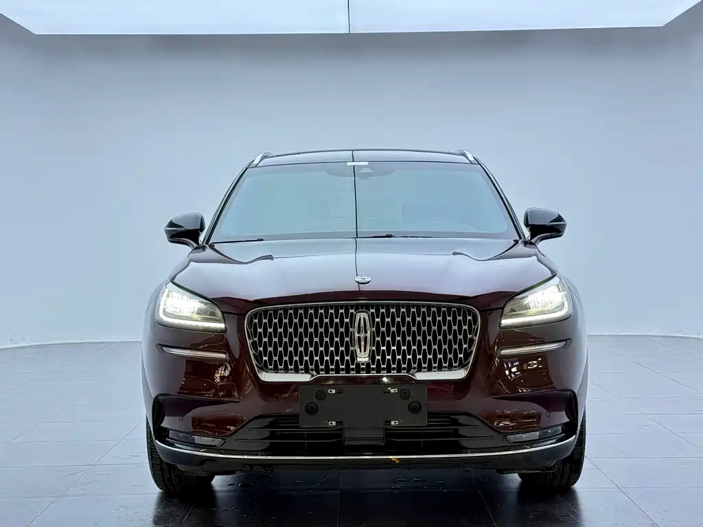 Adventurer 2020 2.0T Two-wheel drive Exclusive Edition