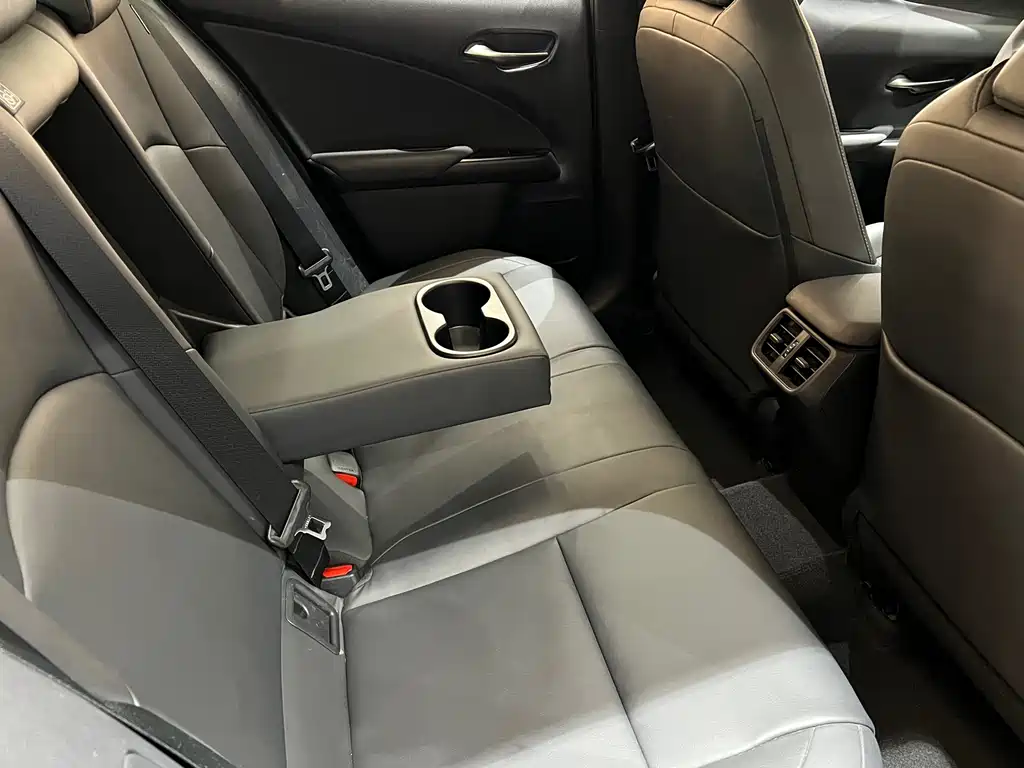 Lexus UX 2020 260h Discovery*Cool Edition