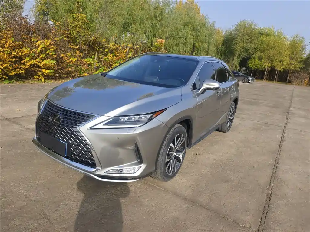 Lexus RX 2020 facelift 300 four-wheel drive elegant version