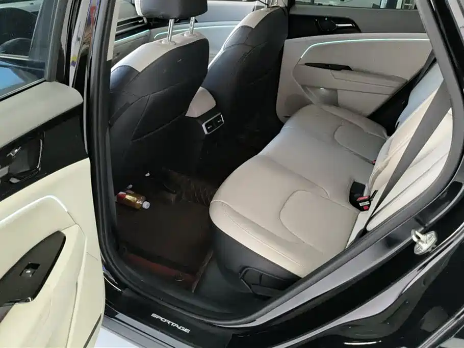 Lion Platinum Tuojie 2023 1.5T Two-wheel drive Premium Edition