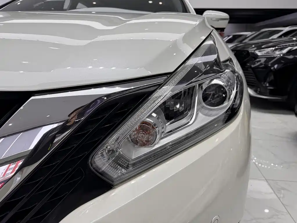 Loulan 2019 2.5L XL two-wheel drive Zhilian Deluxe Edition Country VI