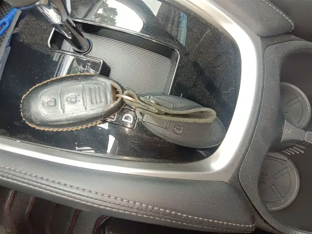 Qijun 2020 2.0 L XL Premium CVT 2WD Zhilian Exclusive Edition