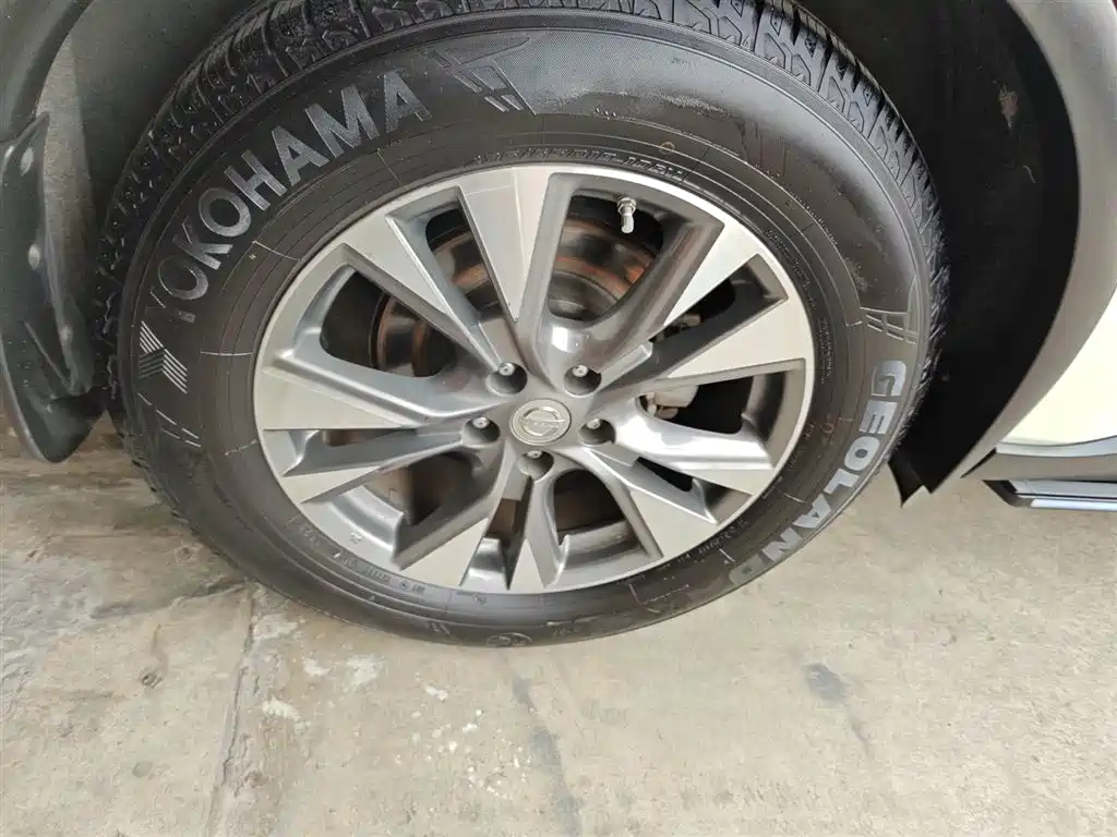 Loulan 2019 2.5L XL two-wheel drive Zhilian Deluxe Edition Country VI