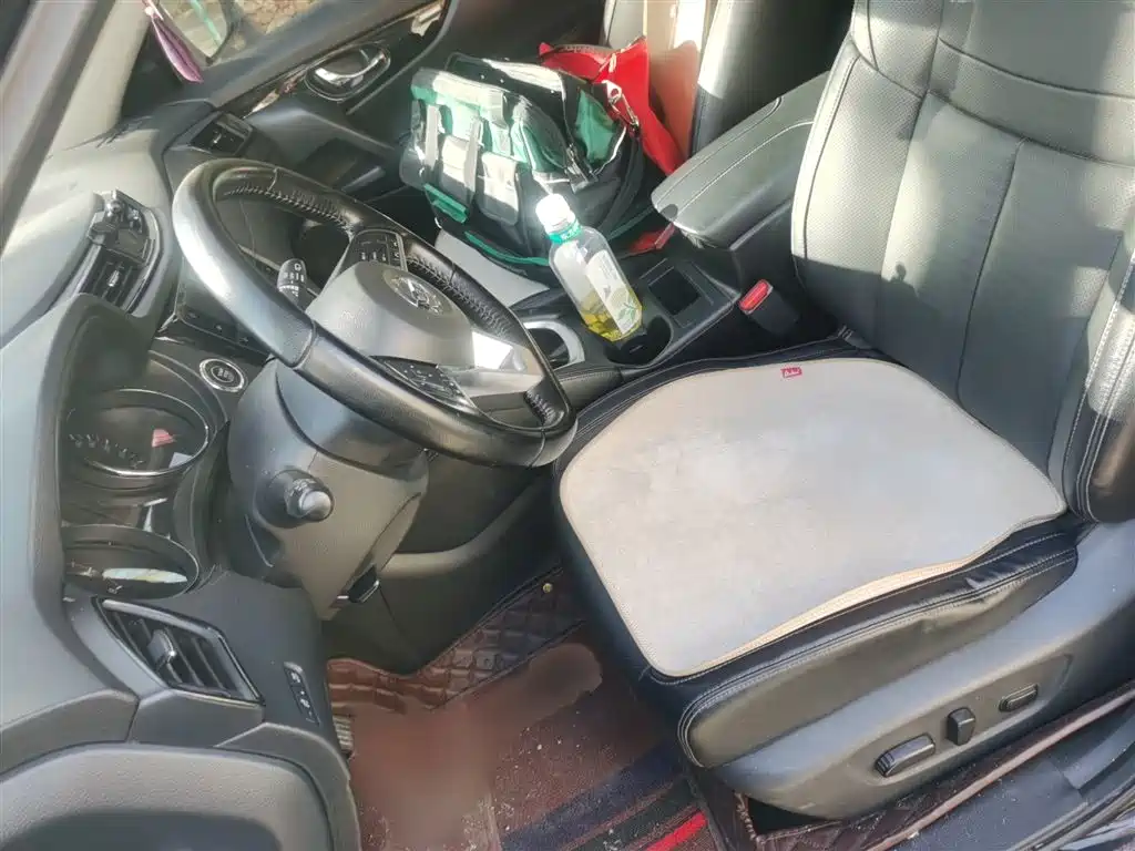 Qijun 2020 2.0 L XL Premium CVT 2WD Zhilian Exclusive Edition