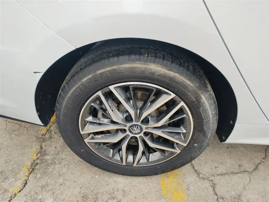 Qin Pro New Energy 2019 EV Super Edition Standard Edition Zhilian Lingshang Type