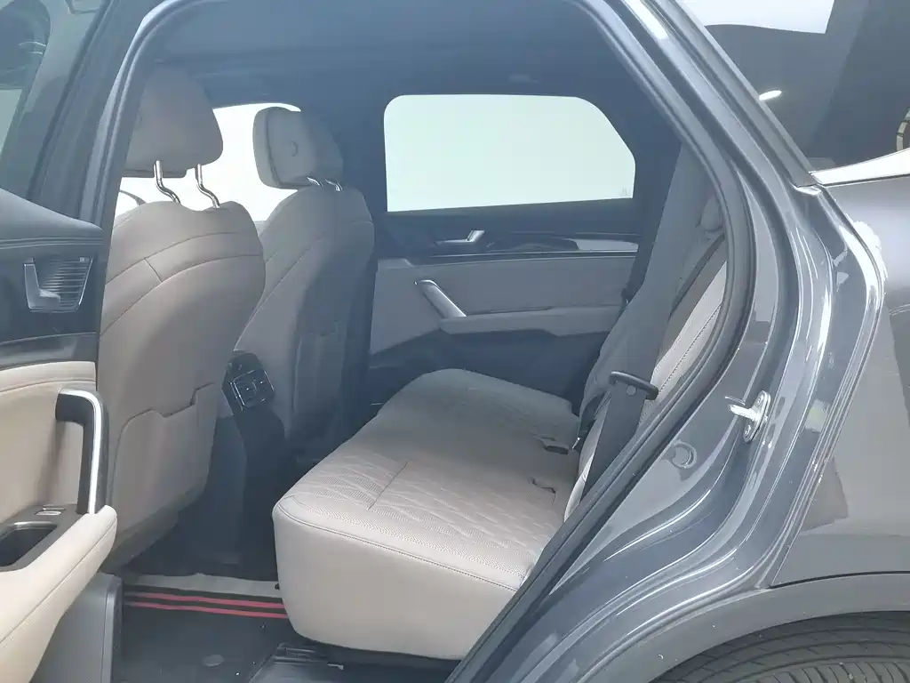 Tangxin Energy 2025 Smart Driving Version DM-i 115KM Flagship Model