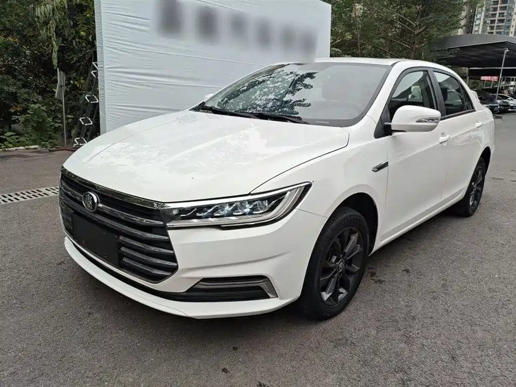 Qin 2019 1.5L manual Luxury