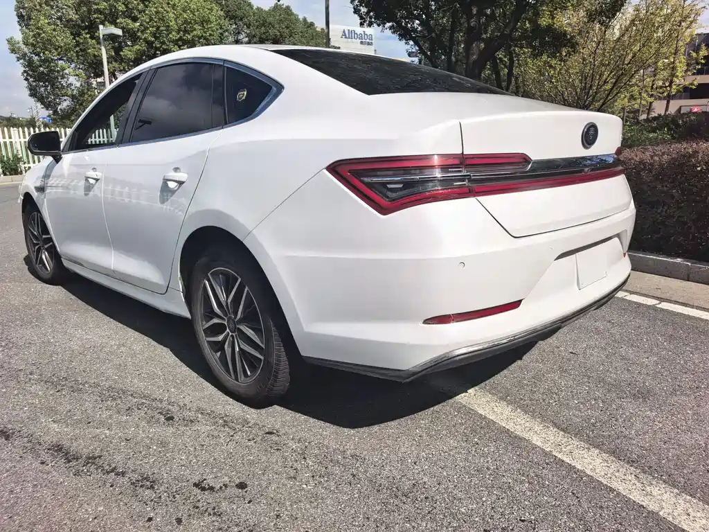 Qinling New Energy 2019 EV Super version High-power Intelligent linkage Leading type