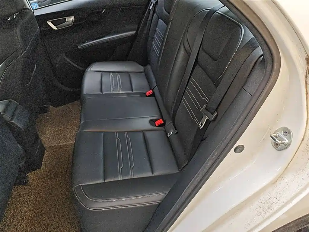 Qin 2019 1.5L manual Luxury