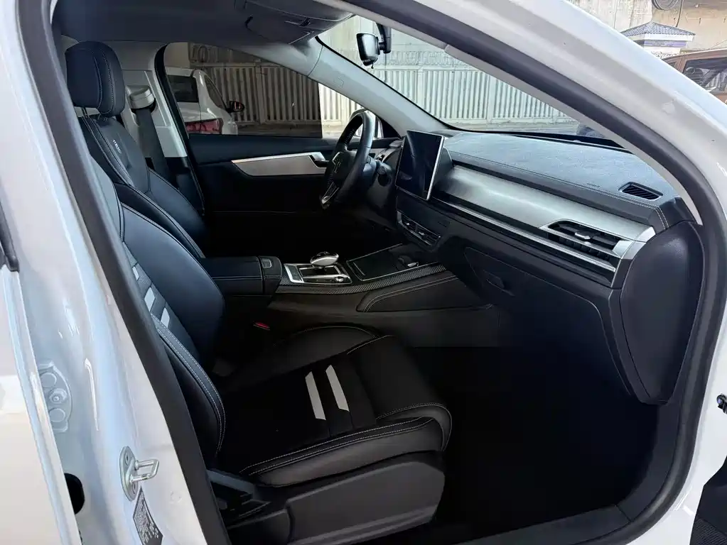 Qin Pro New Energy 2019 EV Super Edition Standard Edition Zhilian Lingshang Type