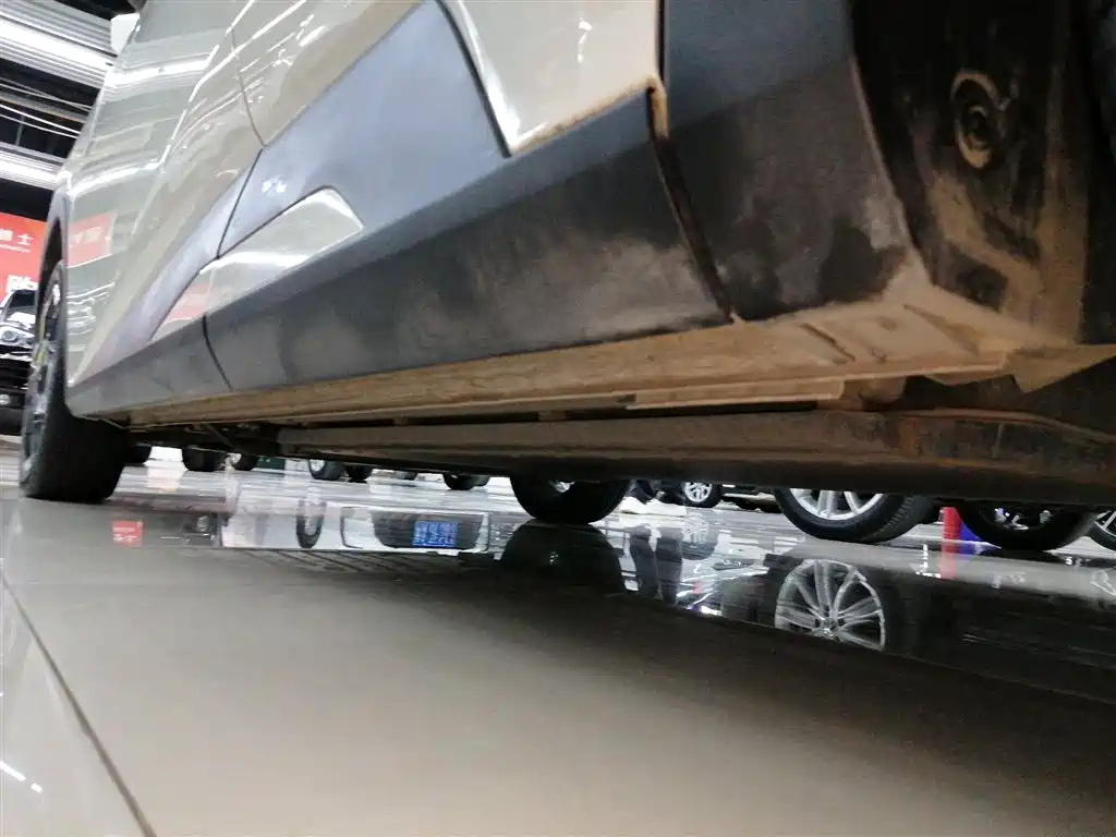 Seagull 2025 305km Free Version