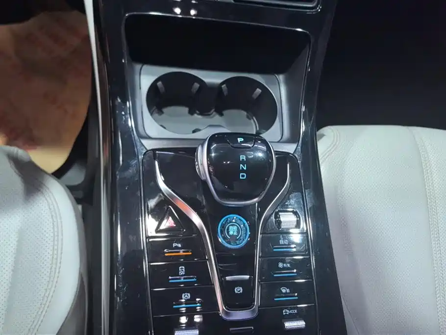 Qin PLUS 2023 Champion Version DM-i 55KM Leading Type