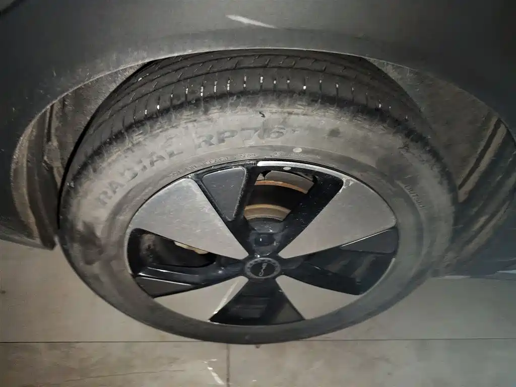 Dolphin 2023 420km fashion Version