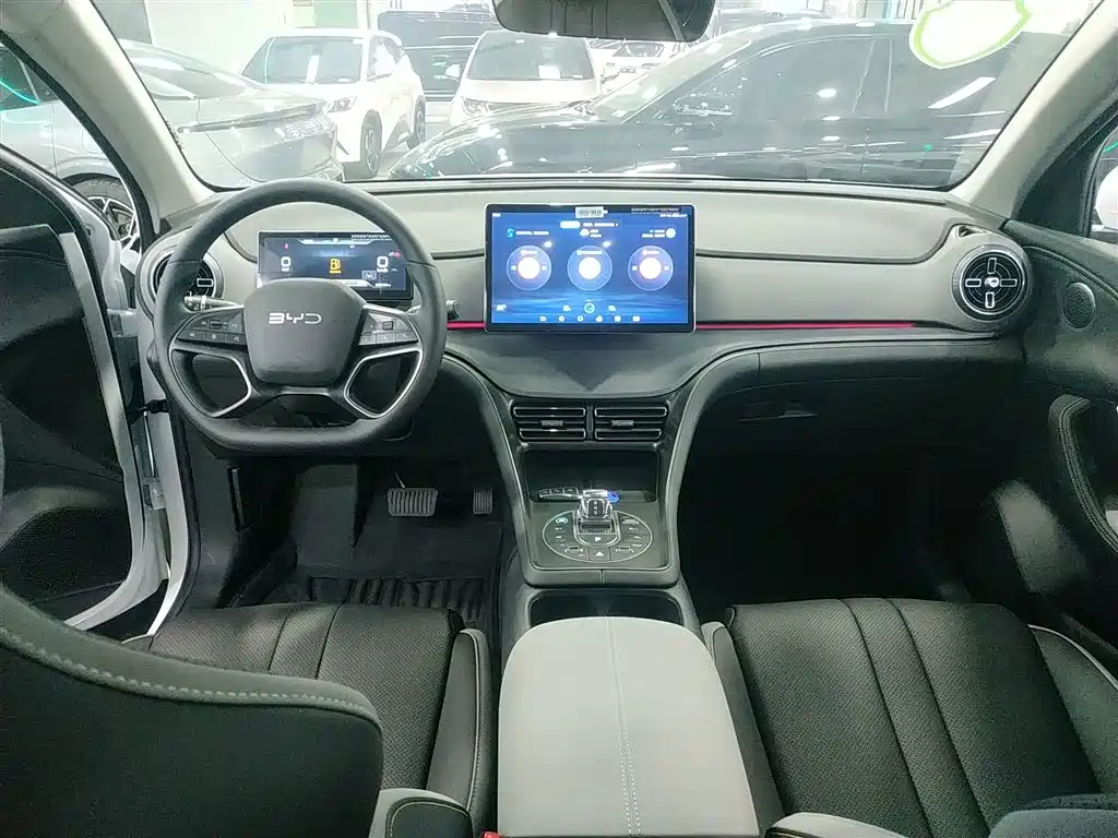 Sea Lion 05 DM-i 2025 DM-i 115KM Honor Type