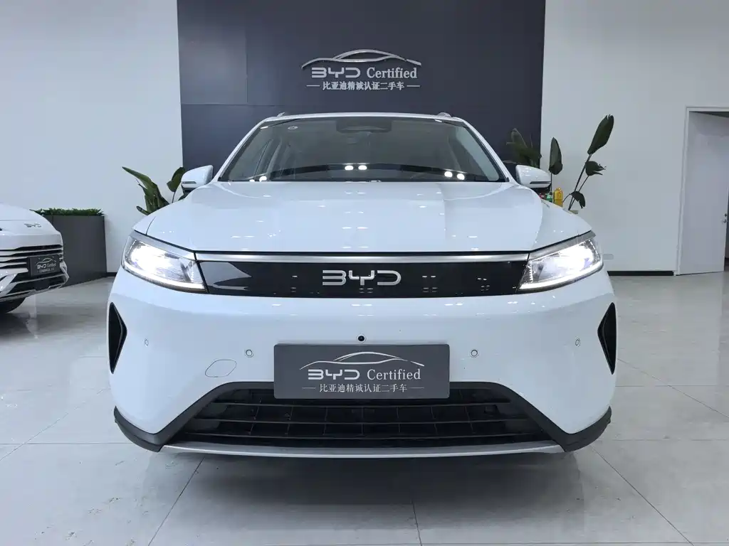 Sea Lion 05 DM-i 2025 DM-i Smart Driving Version 115KM Flagship Model