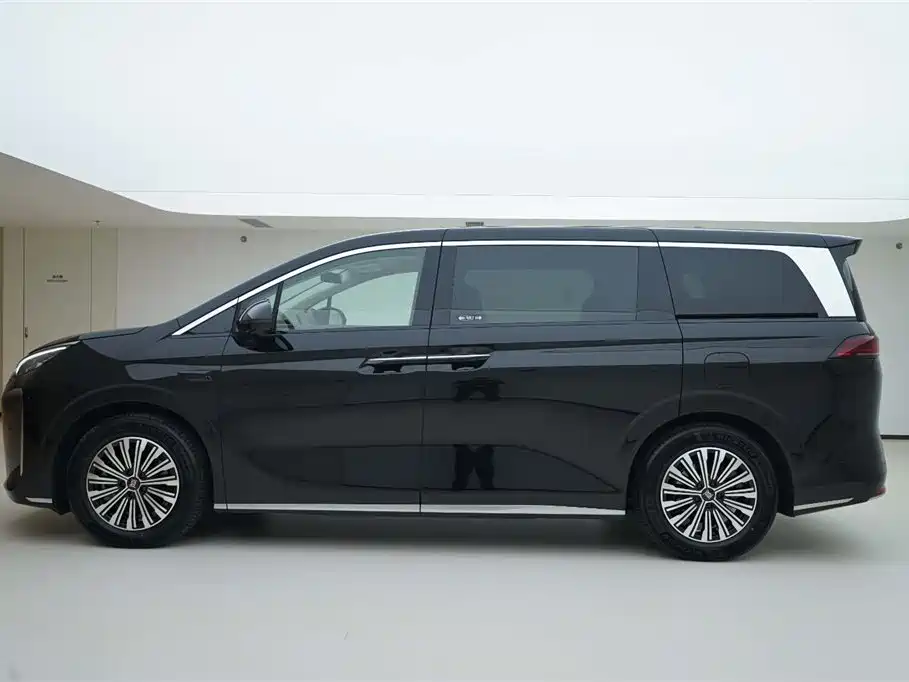 Summer 2025 DM-i 1.5T 180km excellent type