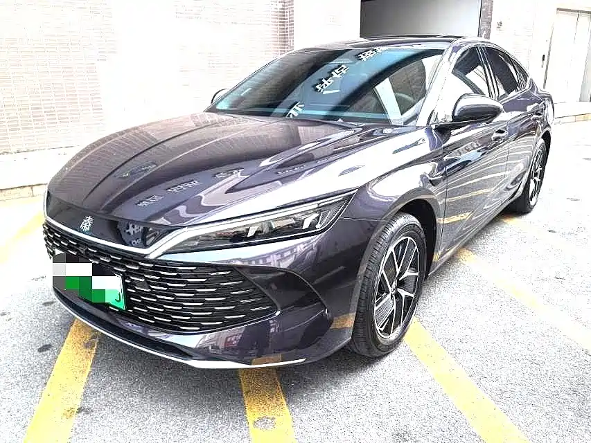 Qin L 2024 DM-i 120KM leading type