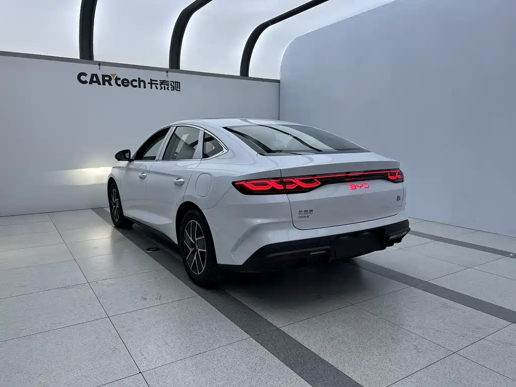 Qin L 2024 DM-i 120KM transcendent Type