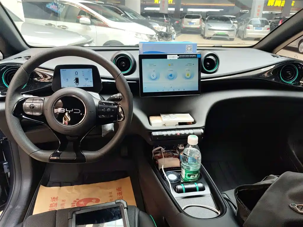 Dolphin 2025 420km Vitality Edition