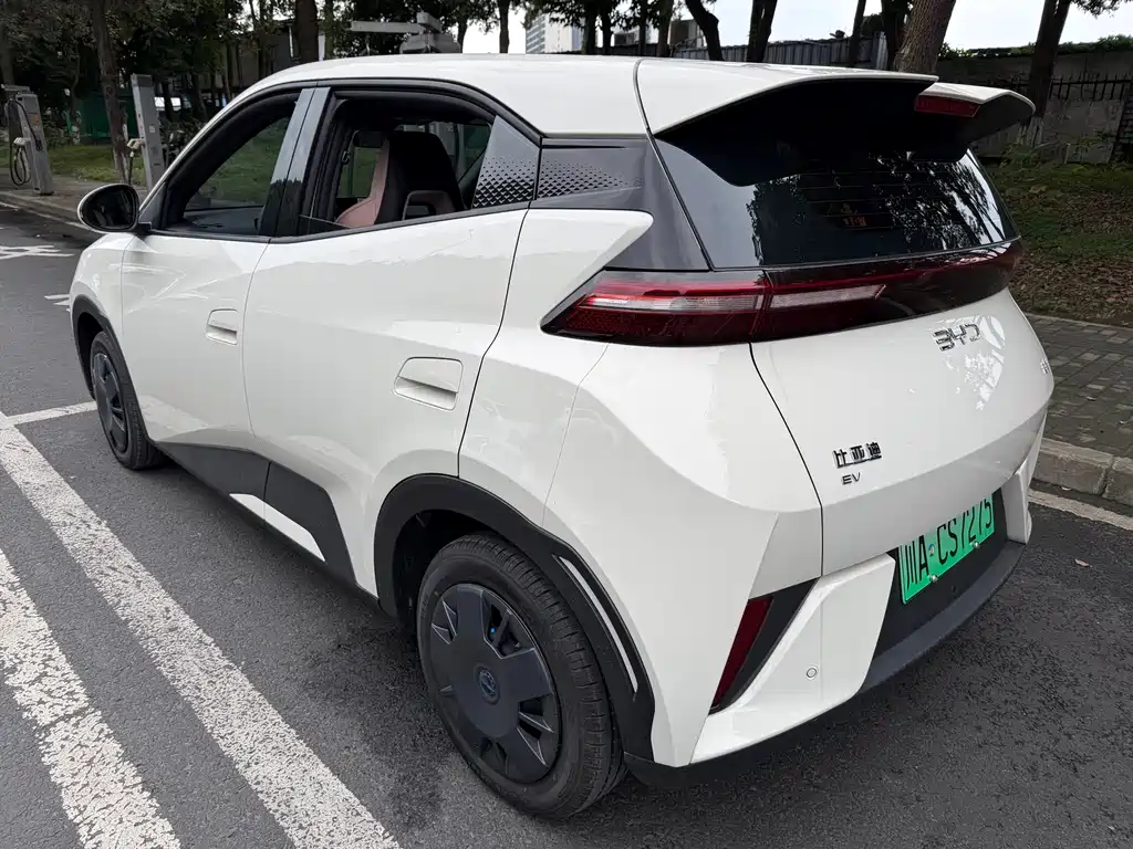 Seagull 2025 Smart Driving Version 305km Vitality Version