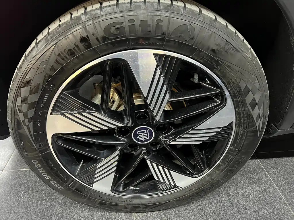 Tangxin Energy 2023 DM-i Champion Edition 112KM Premium Type