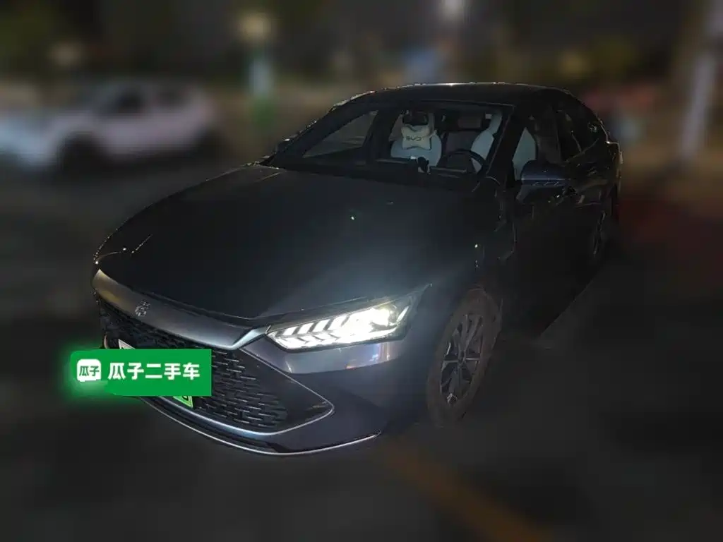 Qin PLUS 2024 Glory Version DM-i 55KM Leading Type