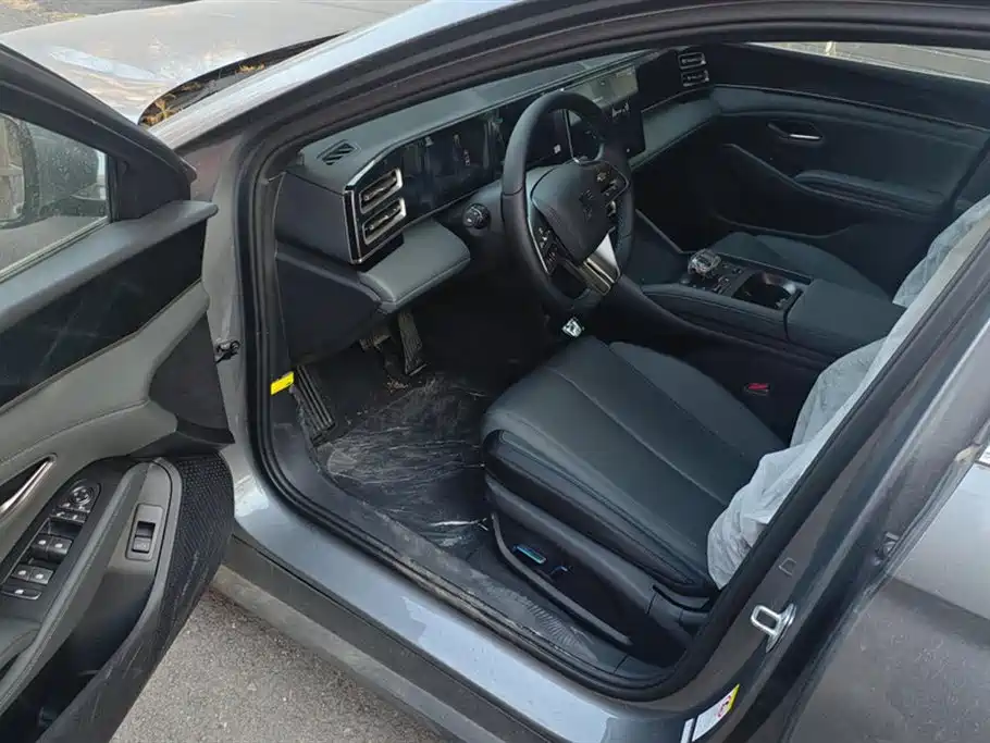 Qin L 2024 DM-i 120KM leading type