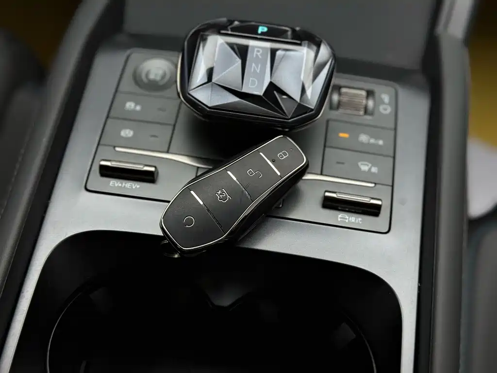 Qin L 2025 DM-i Smart Driving Version 80KM leading Type