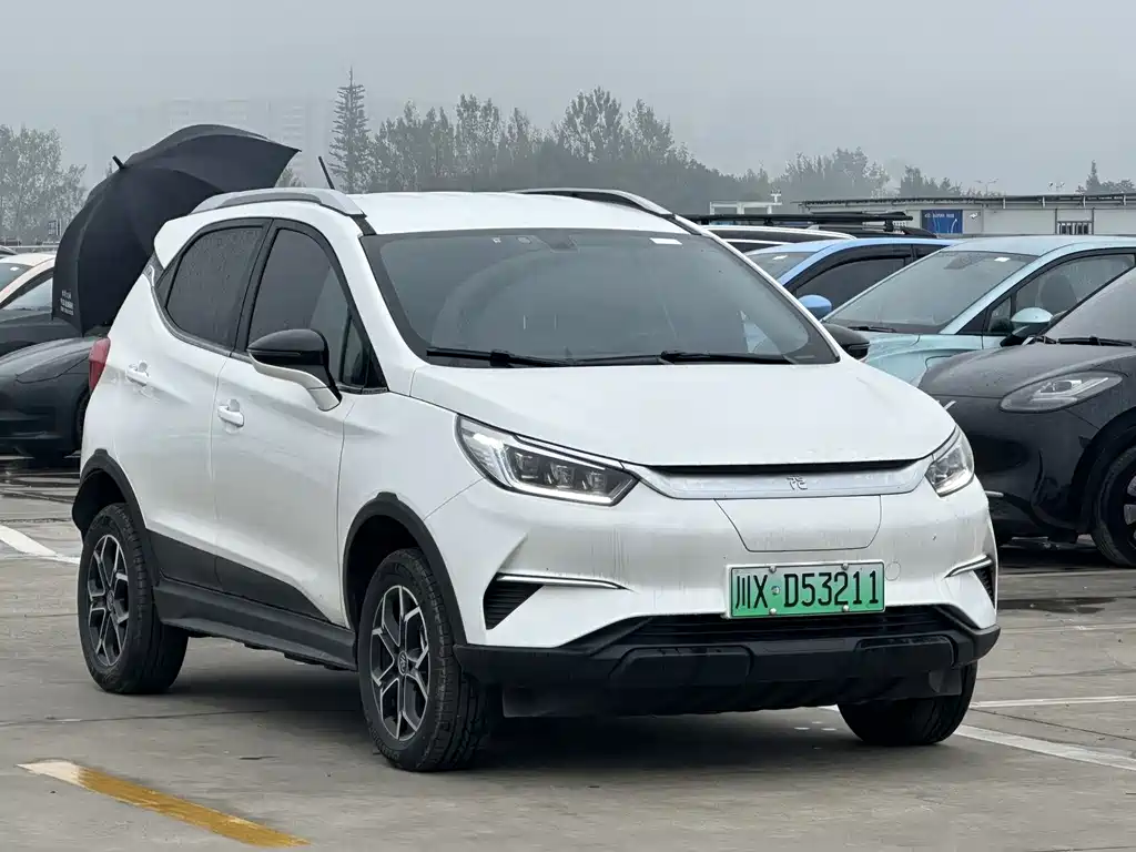Yuan Pro 2023 401KM luxury type