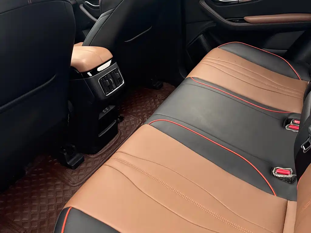 Song PLUS 2020 1.5T automatic Premium Type