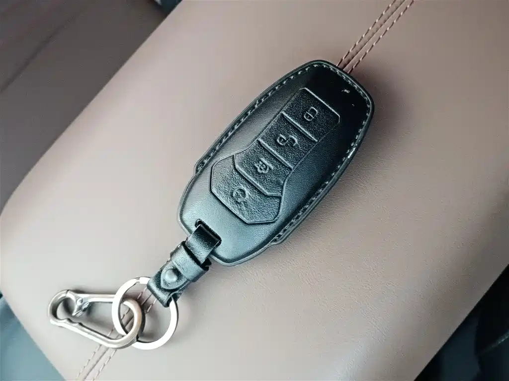 Song PLUS 2020 1.5T automatic Flagship model