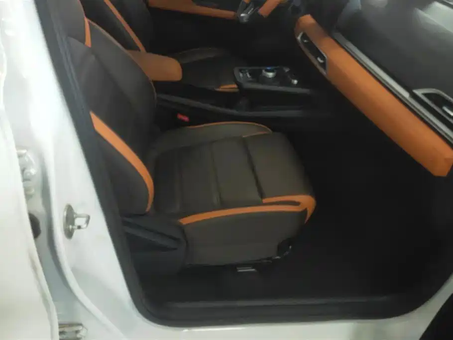 BYD e2 2021 Premium Model