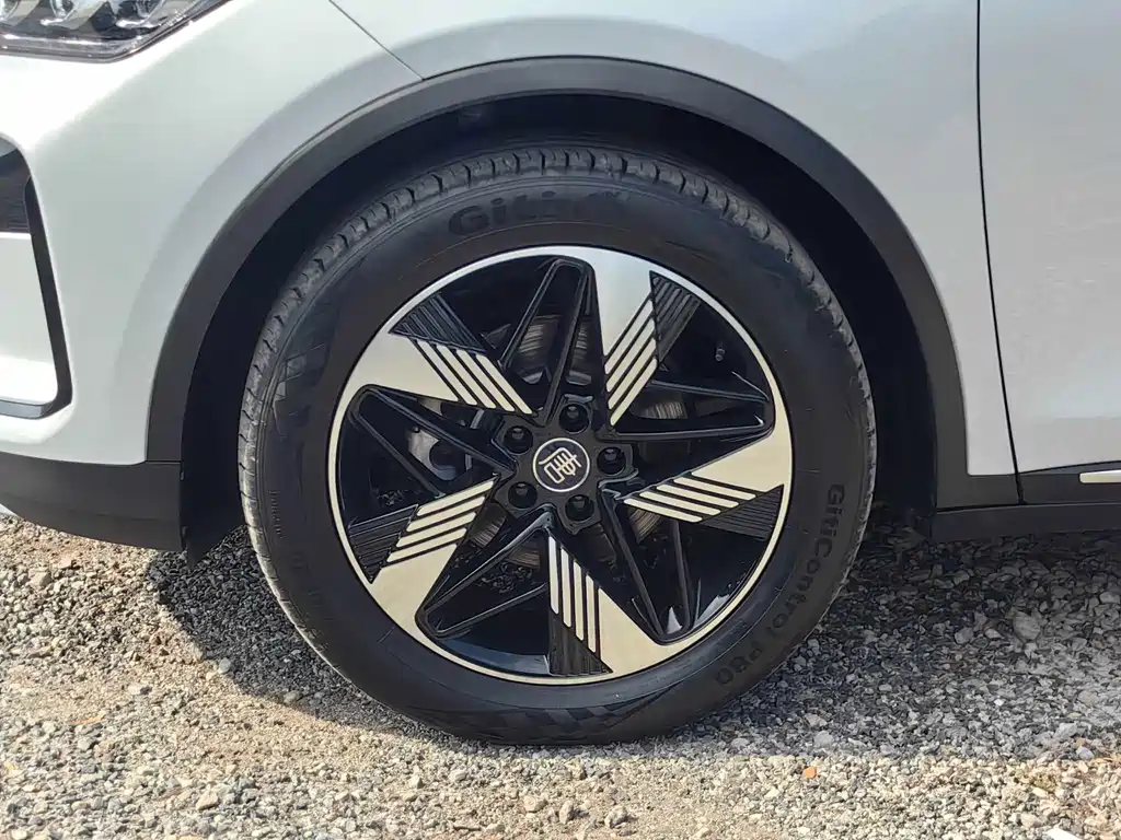 Tangxin Energy 2024 DM-i Glory Edition 112KM Premium Type