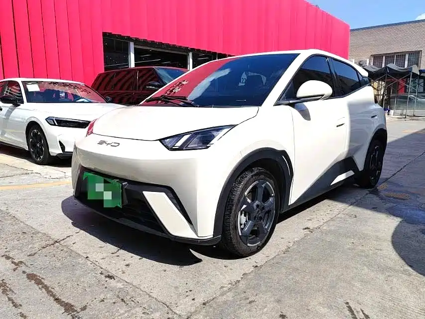 Seagull 2023 Flying Version