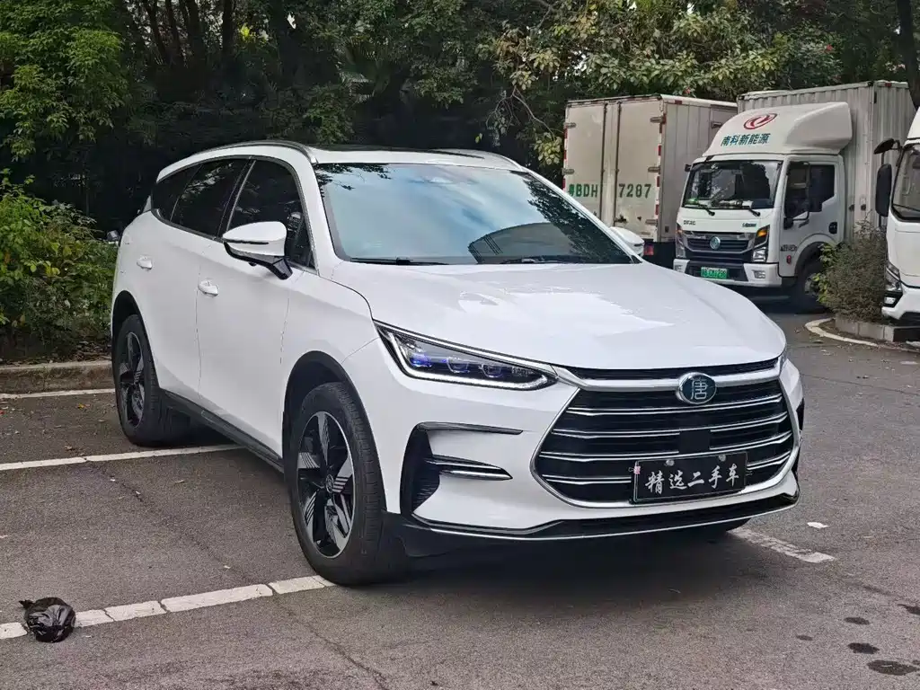 Tangxin Energy 2024 DM-i Honor Edition 112KM Honor Type